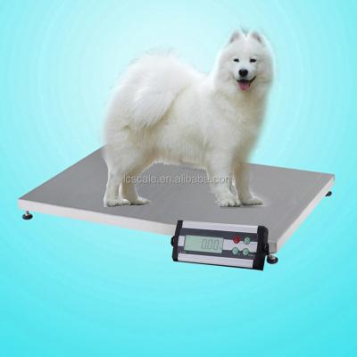 China Pet Hospital And Pet Store 300kg Pet Scale /Veterinary Scale for sale