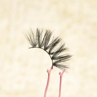 China Bulk Case Wholesale Colorful Lash Box 5D 25Mm Mink Eyelashes 5D Eyelash 25 Mm Mink Eyelashes Eye Lashes Colorful for sale