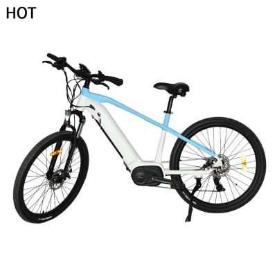 China Economic Aluminum Alloy Cargo 10000w 2000w 48v Electric Tubeless Adult In Kenya W 1000 Bicycle Ally 48v With Sidecar Electric Bike for sale