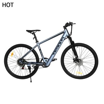 China New Arrival Powerful High Quality Adult Electric eBike Hub Motor Road Aluminum Alloy 2 Wheel Lithium Battery Electric Bicycle e Bike for sale