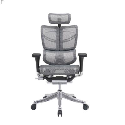 China (Height)Adjustable Multifunctional Task Chair Mesh Ergonomic Office Furniture Chair for sale