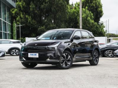 China Conducir coche FWD Vehículo eléctrico EV SUV Neta U-II 2023 Desafío 400 U Xiu LFP estilo de carrocería en venta