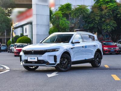 China SUV Veículo Elétrico EV Voyah Gratuito 2024 Ultra Long Range Online/Personalização Local à venda