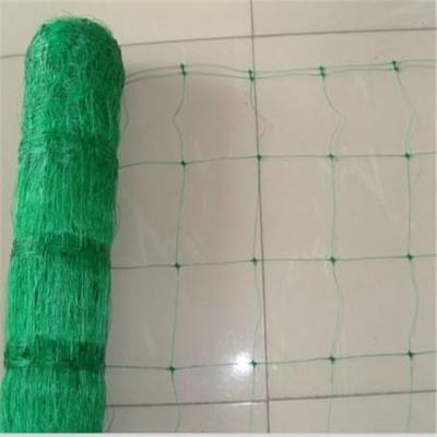 China HDPE +UV Stabilized Low Price PP Plastic Plants To Support Trellis Net For Creeper Plants Cultivation for sale