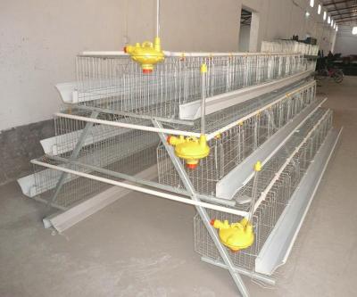 China Farms Type 3 Layer Chicken Egg Battery Cage / Chicken Egg Laying Hens Cage Poultry Cage for sale