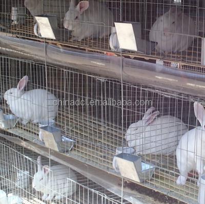 China Rabbit Galvanized Wire Rabbit Cage Aquaculture Cages for sale