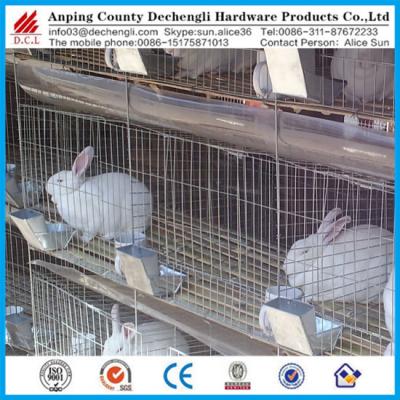 China Custom Rabbit Anping Factory Rabbit Cage, Chicken Cage, Pigeon Cage for sale