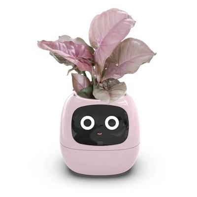 China Modern intelligent vegetable facial expression control hu ma ai garden smart hydroponic planter pot with added nurishment for sale