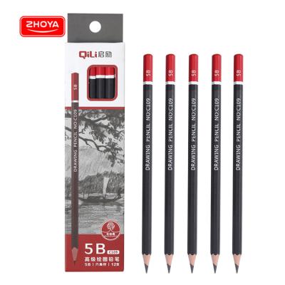 China Eco-Friendly Promotional Pencil Maker 5B Professional Wooden Sketch Pencil, Student Art Supplies Drawing Pencils For Custom for sale