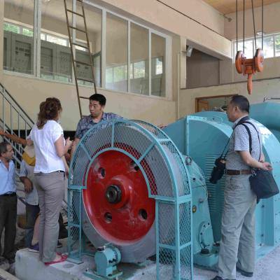 China Micro Mini Kleines Wasser Francis Pelton Turgo Kaplan Hydro-Wasserkraftanlage Permanentmagnet Generator Alternator EPC zu verkaufen