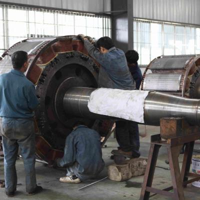 China Turbina hidráulica de la cuchilla del propulsor fijo del flujo axial en rejilla de la rejilla 50KW-20MW en venta