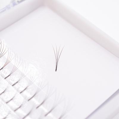 China Tapered Wider Pre-fanned Eyelash Extension Quick Application Pre Made Eyelash Extensions for sale