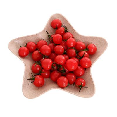 China Viable Customizable Fancy Eco-friendly Wheat Straw Plastic Snack Dish for sale