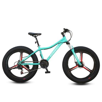 China Male Street China Fashion Cycle Mountain Bike Fat Tire Bicycle For Adult for sale