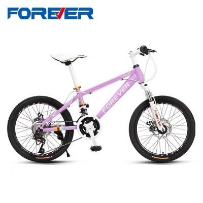 China Wholesale steel forever 22 inch 24 speed beautiful paint bike for kids 5 years cheap mountain bike carbon mtb for sale