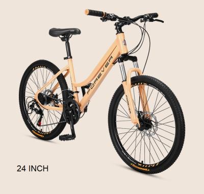 China Forever Personalized 21 Inch Mountain Bike 21 Speed ​​Adult And Children Mountain Bike Steel Bicycle for sale