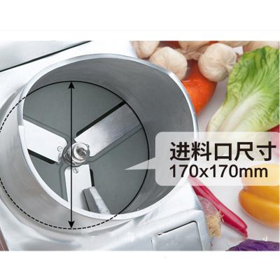 China Snack Plant Multi Function 550W Electric Vegetable Cutter Industrial Vegetable Cutter for sale