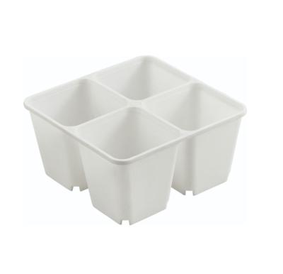 China Hot Selling PS 4 Cell Seed Trays Manufacture Plastic PS Seedling Trays Nursery Tray for sale