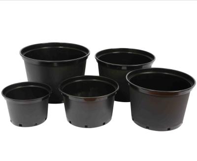 China Modern Supply 1 Gallon Flower Pot Supplier 2 3 5 7 10 Gallon Tree Plant Pots For Rose Flower for sale