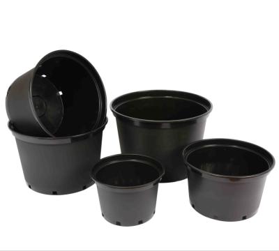 China Modern Supply 1 Gallon Flower Pot Supplier 2 3 5 7 10 Gallon Tree Plant Pots For Rose Flower for sale