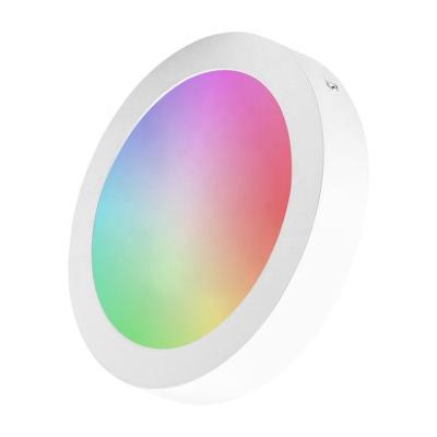 China Modern Round LED Smart Wifi Tuya APP Control 18W LED Outdoor Mounted Panel Light for sale