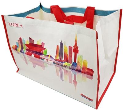 China Folding Shopping Bag And Bag PP Non Woven PP Woven Shopping Bag For Groceries Storage for sale