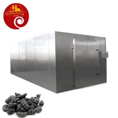 China Medicine Processing Mulberry Hot Air Dryer Blackberry Drying Dehydrating Blackberry Drying Air Energy Heat Pump Dryer for sale