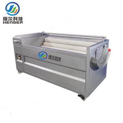 China High Efficiency Easy Operate Vegetable Washing And Peeling Machine Leaf Vegetable Washing Machine Vegetable Washing Machine for sale