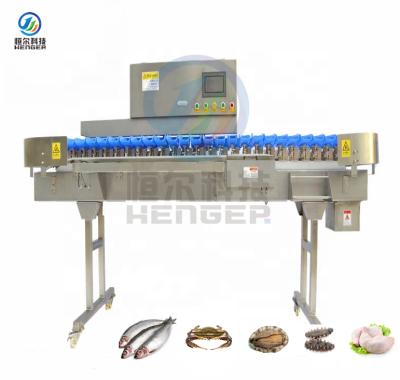 China Stable Grader Weight Sorting Machine Fish Imaging Sorter for sale