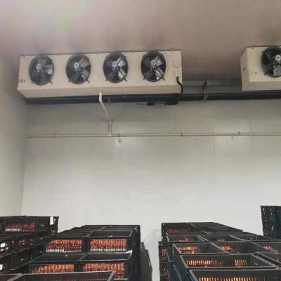 China Meat Potato Onion And Garlic Cold Room Fresh Positive Walk Storage In Chiller Cold Storage Room for sale