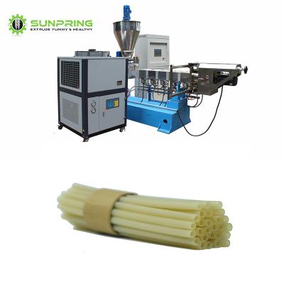 China food & Beverage factory SUNPRING rice straw making machin line beverage rice straw making machin price rice straw production line for sale