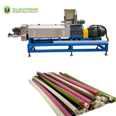 China food & Beverage plant SUNPRING rice straw making machin drinking edible rice straw making machine rice straw making machine for sale