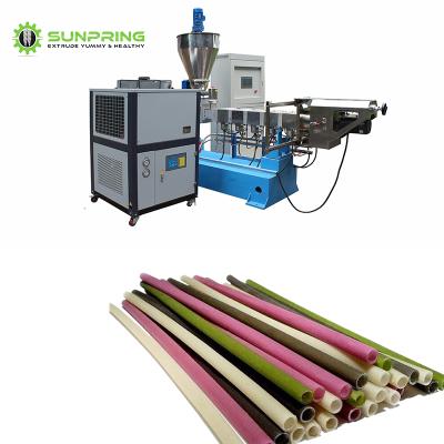 China food & Beverage plant SUNPRING rice straw machin rice drink straw make machin rice straw machine extruder for sale