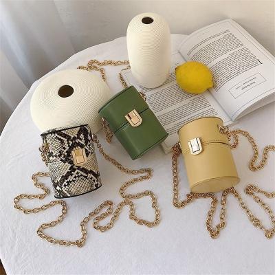 China High Quality Statistical Institute New Fashion Mini Bucket Bag Women's Small Chic Summer Popular Chain Messenger Bag for sale