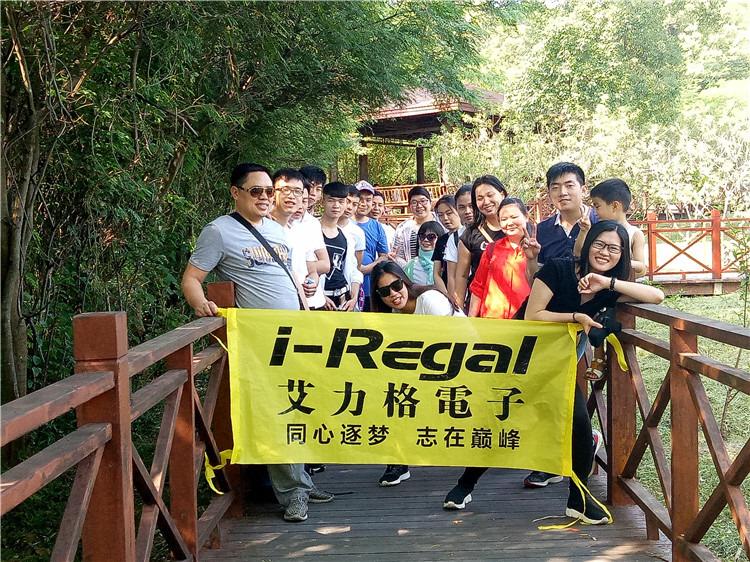 Verified China supplier - Zhongshan I-Regal Electronics Co., Ltd.