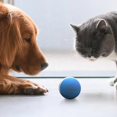 China Viable Fast Shipping Smart Interactive Electric Round Dog Toy Automatic Wickedball for sale