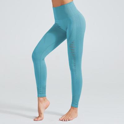 China Antibacterial Cheap Women Yoga Pants Girls Butt Crac! crack! hollow out gym yoga seamless leggings for sale