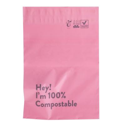 China Logo Suit Print Compostable Mailing Strong Adhesive Self Sealing Poly Envelope Customized Mailer for sale