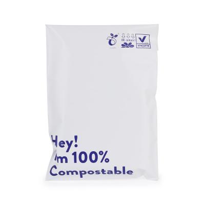 China Strong Logo Adhesive Custom Compostable Mailing Bags Eco Friendly Biodegradable Clothes for sale