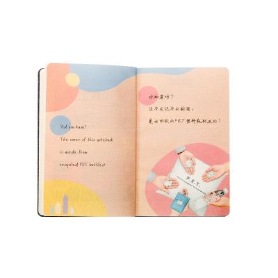 China Gift Page A5 Custom Eco-Friendly rPET Sustainable Recycled Notebook Blank With Corporate Backpocket Moleskine Diary Travel Year End for sale