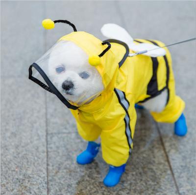 China Sustainable Dog Raincoat Small Teddy Poncho Pet Rainy Clothes For Quadruped Medium Dog for sale