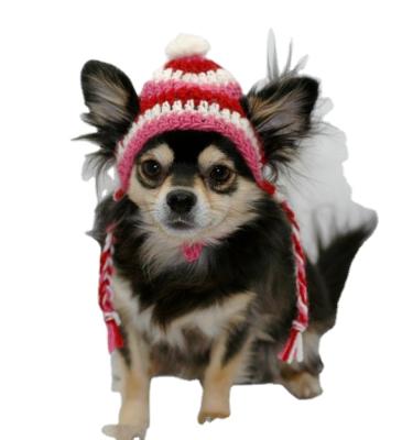 China Sustainable Hand Knitted Dog Hat Pet Hat Winter for sale