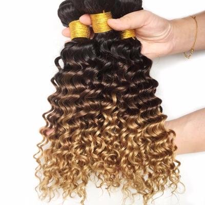 China Can be dyed and changed brazilian deep hair ombre color wholesale virgin hair extension 1B/4/27 wave design for sale