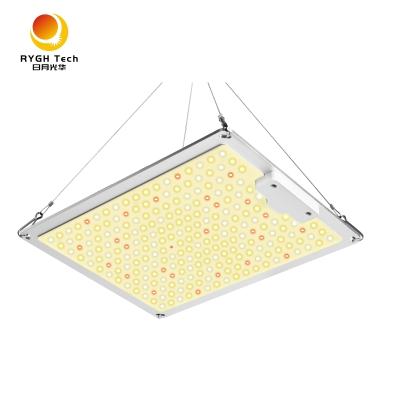 China Indoor 100W 0-10V Grow Light Panel Dimming Panel LED Plant Grow Light en venta