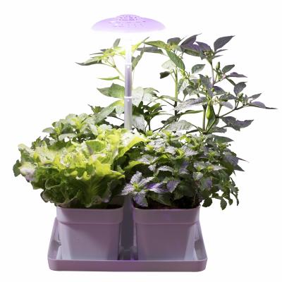 중국 DC 12V 24V home decoration 4 cups home kitchen homejoy herb garden pot spotlight 20W hydroponic mini indoor garden planter smart 판매용