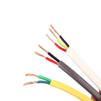 China RVGB BVGB Sheath Home Improvement Underground National Standard Multi-strand Flat Copper Parallel Wire and Cable for sale