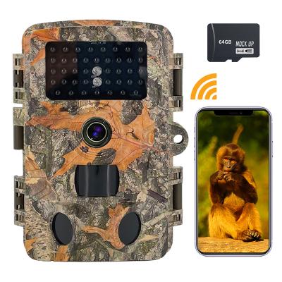 China High Quality Weather-Resistant OEM/ODM 24MP Cellular Outdoor Trail Camera APP Control Scout Camera for Hunting for sale