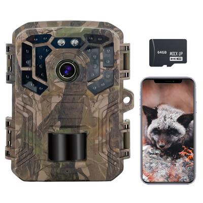 China Sensvision Hot Sale Trail Camera Manufacturer Weather-Resistant Photo Traps Wireless Hunting Camera for sale