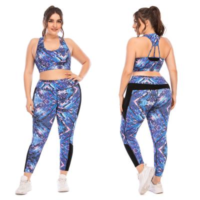 China X-CHENG Fitness Wear Sports Equipment Breathable Training Running Leggings Plus Size Women Yoga Sets for sale