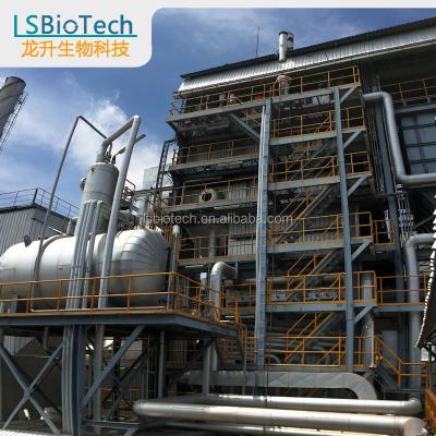 China Shandong Longsheng Horizontal Biomass Fuel Steam Boiler Renewable Energy High Efficiency for sale